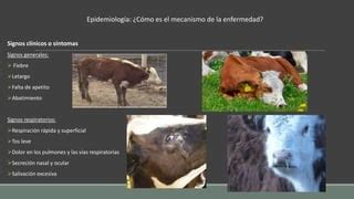 Image result for Mu Python Code