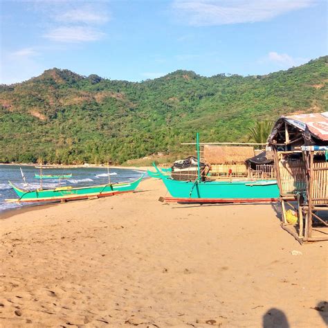 PATUNGAN BEACH COVE (2025) All You Need to Know BEFORE You Go (with ...