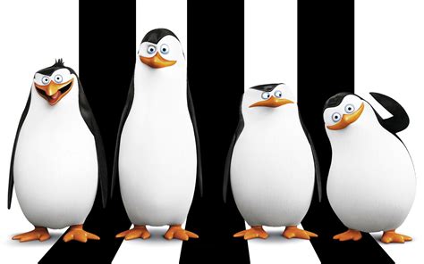 Penguins of Madagascar, cute penguin, cartoon, Madagascar, funny ...