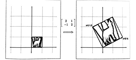 Image result for Matrices Computer Graphics
