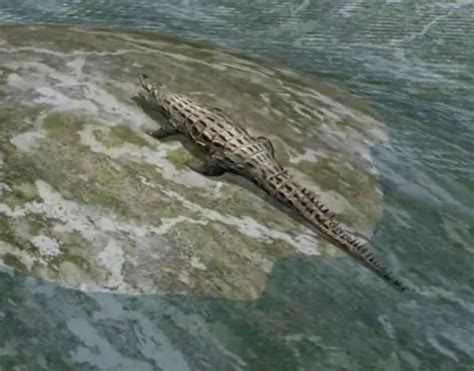 Welcome to Icon Technosys, 2D Animation Studio, Professional 2D ...