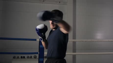 Boxer Boxing 的图像结果