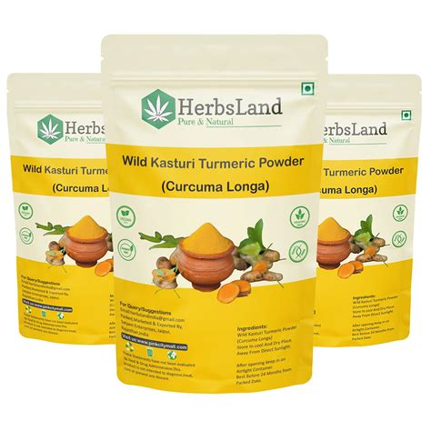 HerbsLand® Bio organic Wild Turmeric Powder for Skin and Face Care ...