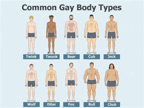Every Gay Body Type Explained: Your Queer Slang Guide