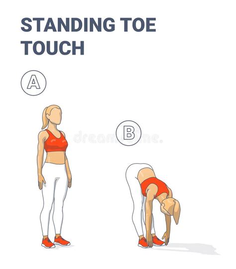 Image result for Toe Touch Exercise