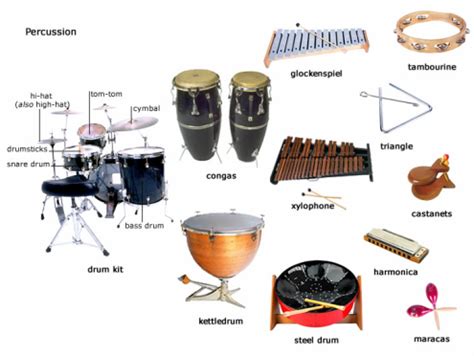 Image result for percussion instruments