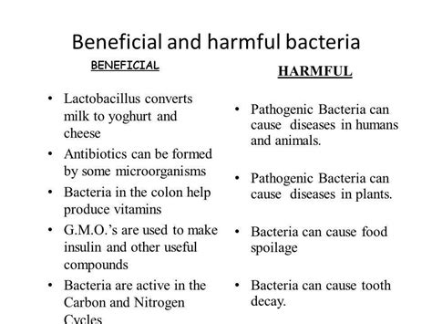 What is different between harmful and useful bacteria - Brainly.in