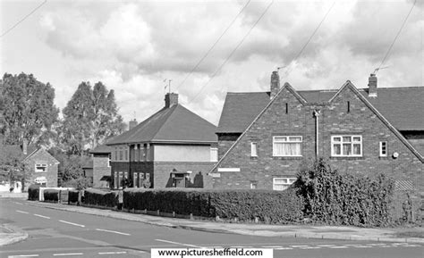 Searching Picture Sheffield