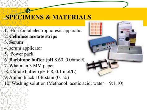 Image result for Class 8 Computer Science Notes