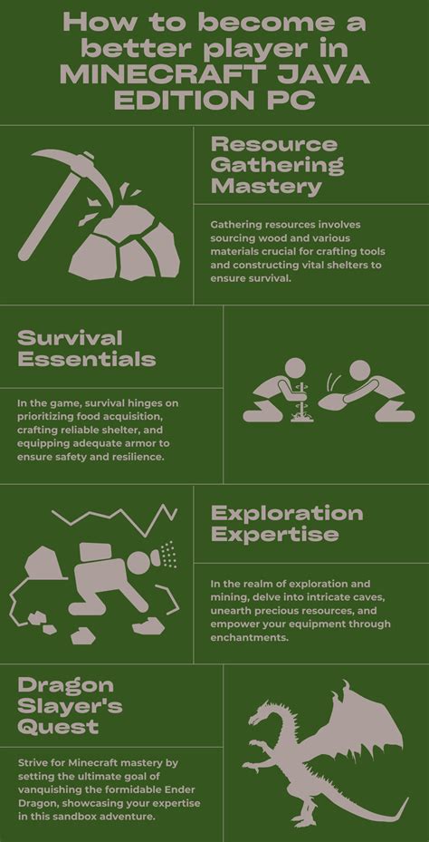 How to Use Minecraft Java 的图像结果