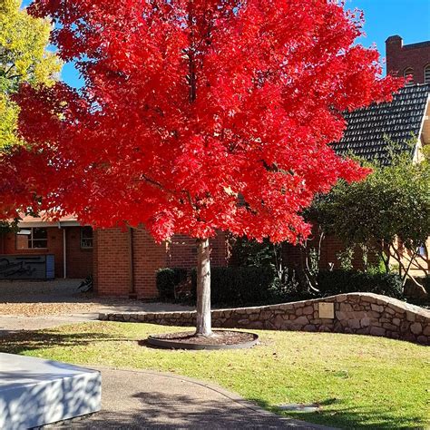 HARA HOUSE (Bright, Victoria) - Hotel Reviews, Photos, Rate Comparison ...