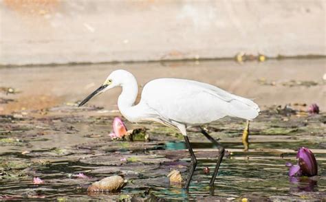 Indroda Nature Park (Gandhinagar) - 2019 What to Know Before You Go ...