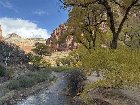 Zion National Park Scenic Drive: A Journey Through Nature's Cathedral ...
