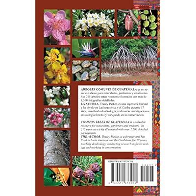 Buy Common Trees of Guatemala - Árboles Comunes de Guatemala Paperback ...