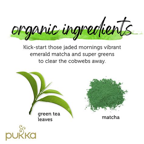Pukka Herbal Tea | Brands | Holland & Barrett