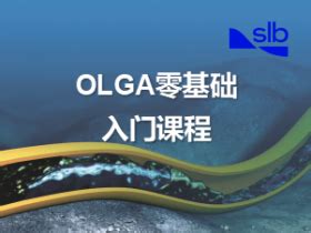 Image result for Olga Tutorial