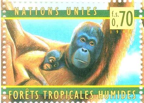 United Nations Geneva Rain Forest Preservation Wildlife Orangutan Post ...