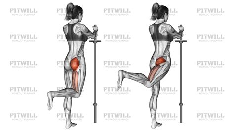 Standing Hip Extension (bent Knee): Exercise Guide, Video, Techniques ...