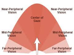 Image result for Peripheral Vision Field of View