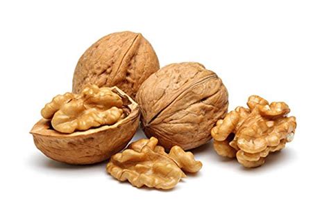 Creative Farmer Walnut Seeds - Juglans Regia -Walnut, Persian Walnut ...