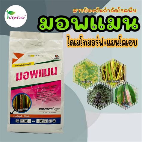 มอพแมน (ไดเมโทมอร์ฟ+แมนโคเซบ) สารป้องกันกำจัดโรคพืช เช่น โรคราน้ำค้าง ...