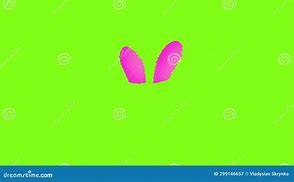 Image result for Pink Fluffy Bunny