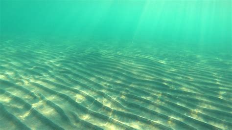 Sea Floor 的图像结果