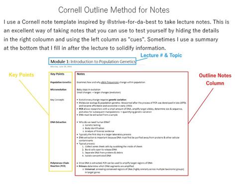 Image result for Cornell Notes Template OneNote