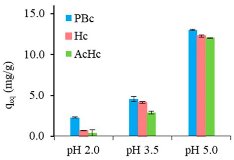 Carbonaceous Materials from Forest Waste Conversion and Their ...