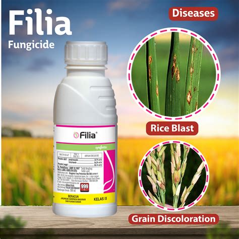 Syngenta Filia Fungicide – Agriplex