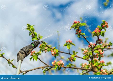 Apple Tree Disease Spray at Amber Mairinger blog