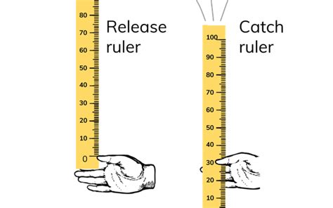 Image result for Reaction Time Science Experiment