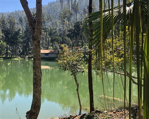 THE 30 BEST Places to Visit in Yercaud (2025) - Must-See Attractions
