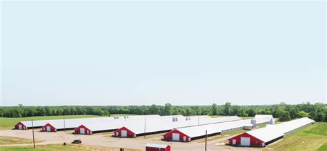 Sanderson Farms® - Wayne-Sanderson Farms®