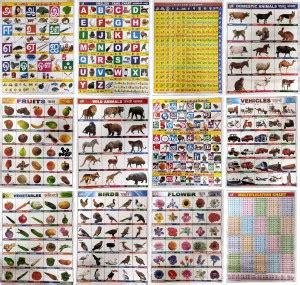 Wall Charts Lamination: Buy Wall Charts Lamination by Jayabalan at Low ...