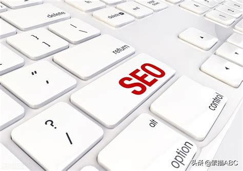 如何做网站seo排名优化（怎么优化seo关键词）-8848SEO