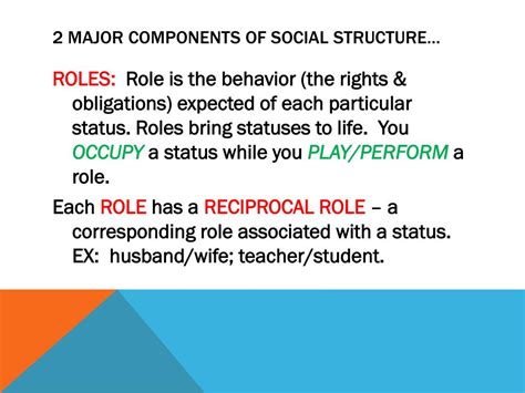 Social Structure 的图像结果