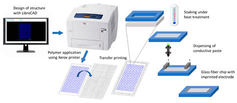 Electrophoretic µPAD for Purification and Analysis of DNA Samples