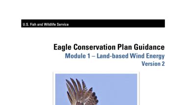Eagle Conservation Plan Guidance | FWS.gov