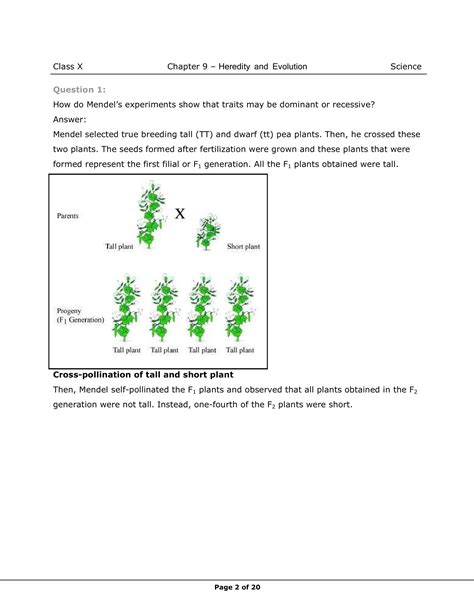 Class 10 Science Chap Evolution Explain 的图像结果