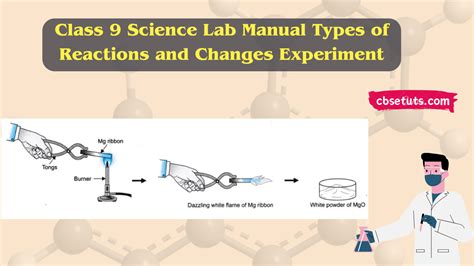 Image result for NCERT Class 9 Experiments