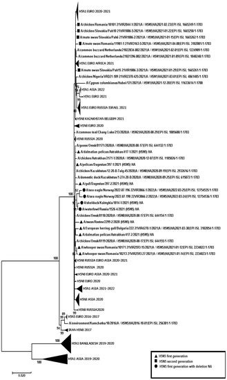 Viruses | Special Issue : Molecular Biology of Influenza Viruses
