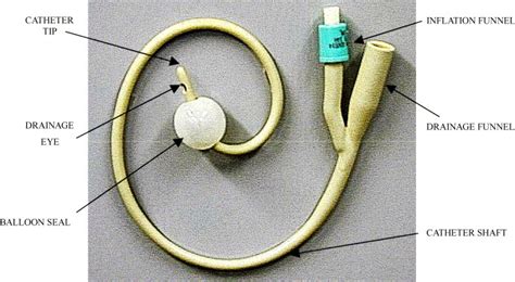 Image result for Int Array Pointer