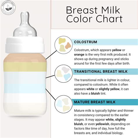 Understanding the Stages of Breast Milk: A Comprehensive Guide