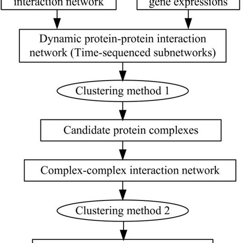 Image result for Protein Complex Function