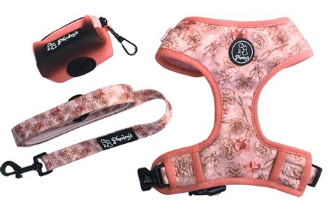 Dog Adjustable Harness Bundle || Blossom Puff – Phoeley's Collections