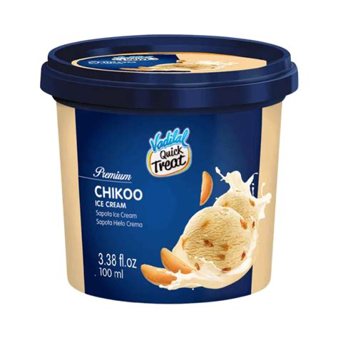 Vadilal Chikoo Ice Cream 100ml – JFK Grocery Inc.