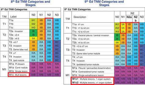 Tnm Staging Lung Cancer