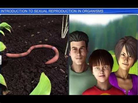 Phases of life: Juvenile and Reproductive Phase Video Lecture - NEET