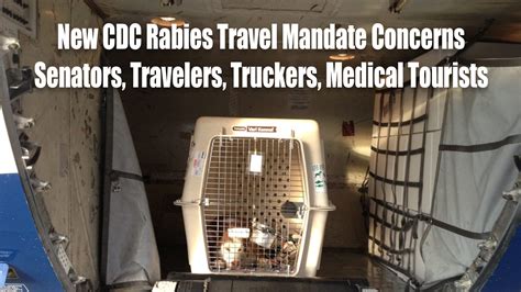 New CDC Mandate Meets Resistance from Dog Owners and Senators ...